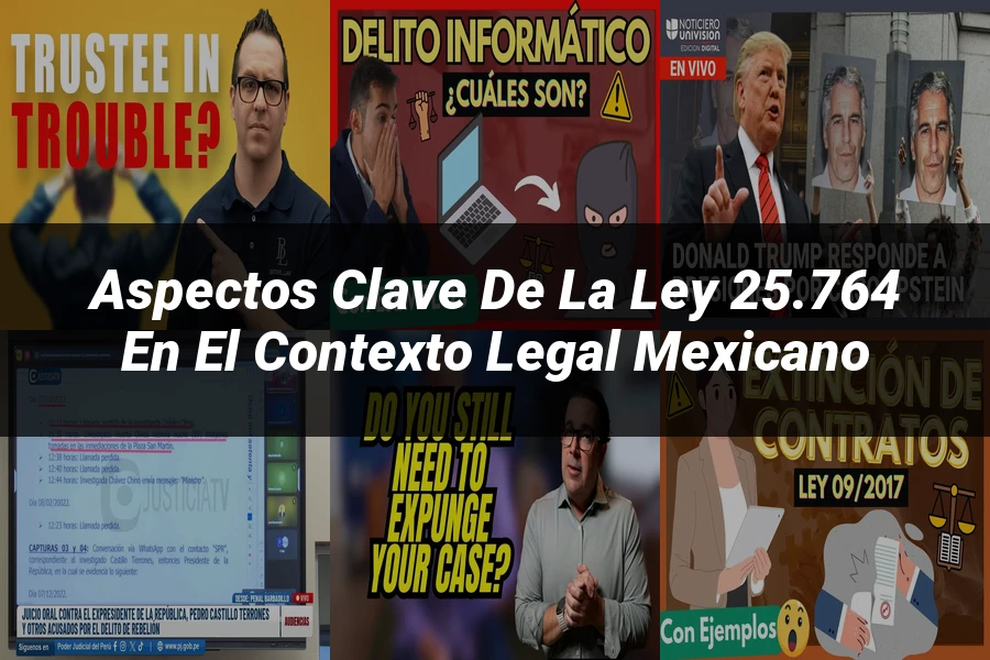"Aspectos clave de la ley 25.764 en el contexto legal mexicano"