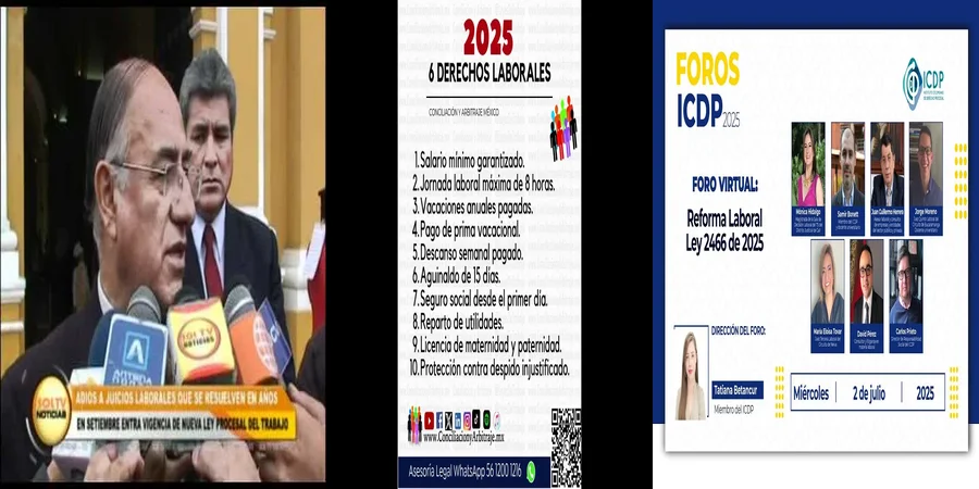 "Aspectos clave de la ley 26636 en el contexto legal mexicano"