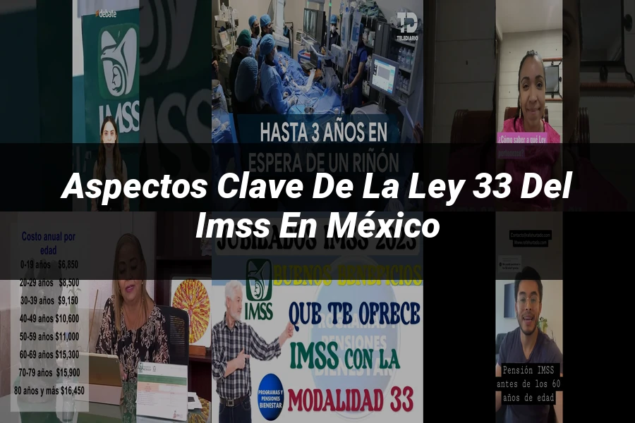 "Aspectos clave de la ley 33 del IMSS en México"