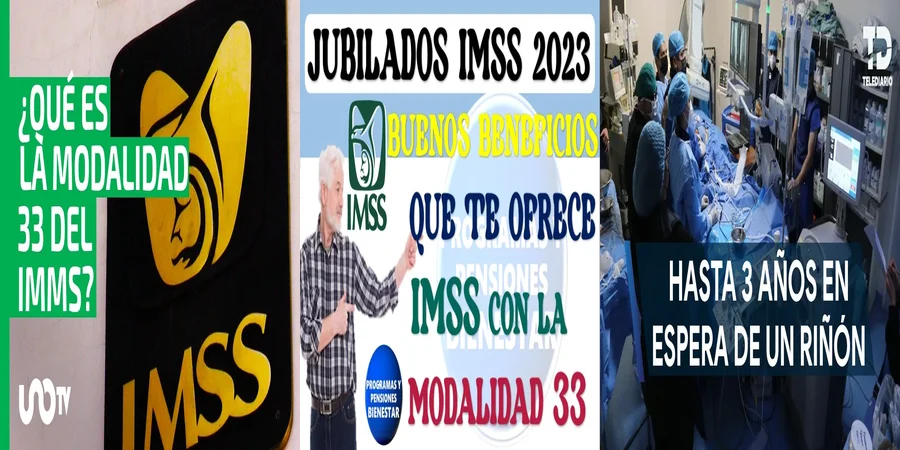 "Aspectos clave de la ley 33 del IMSS en México"