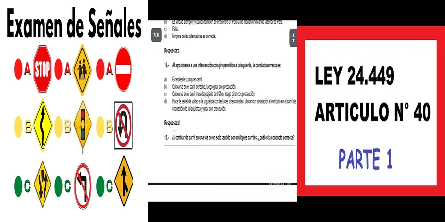 "Aspectos clave de la ley 40 de tránsito en México"