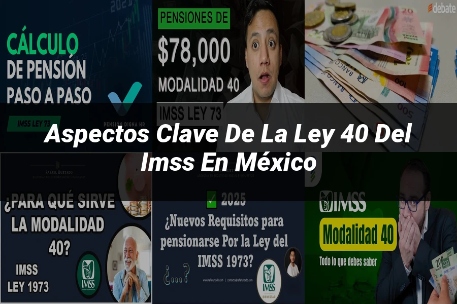 "Aspectos clave de la ley 40 del IMSS en México"