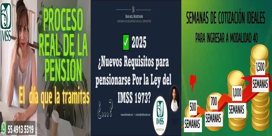 "Aspectos clave de la ley 40 para pensionarse en México"
