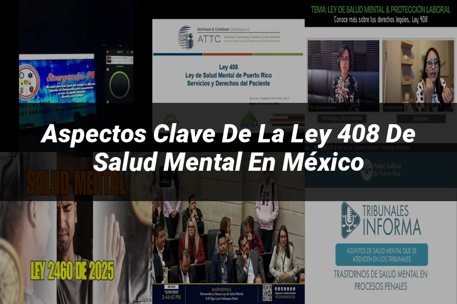 "Aspectos clave de la ley 408 de salud mental en México"