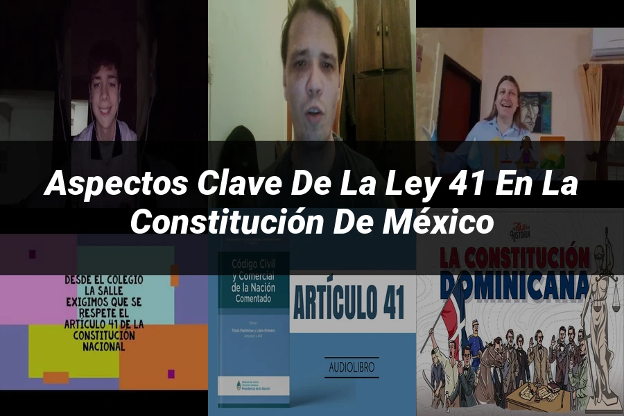 "Aspectos clave de la ley 41 en la constitución de México"