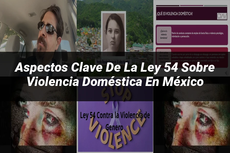 "Aspectos clave de la ley 54 sobre violencia doméstica en México"