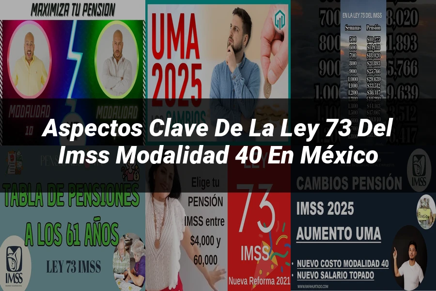 "Aspectos clave de la ley 73 del IMSS modalidad 40 en México"