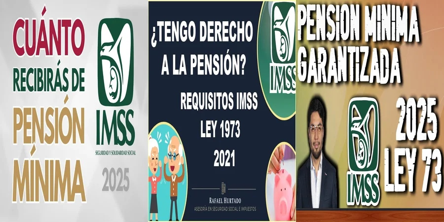 "Aspectos clave de la ley 73 para pensionarse en México"