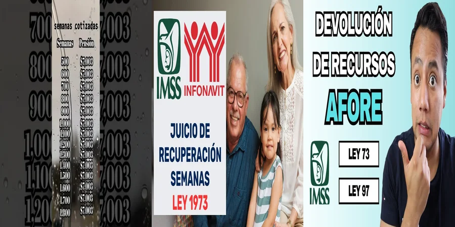 "Aspectos clave de la ley IMSS 1973 en el contexto laboral mexicano"