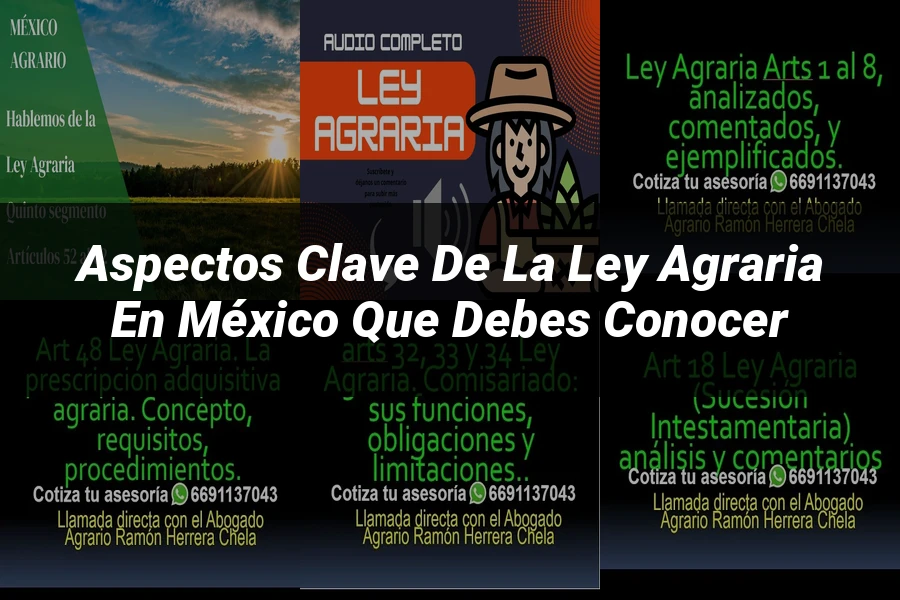 "Aspectos clave de la ley agraria en México que debes conocer"