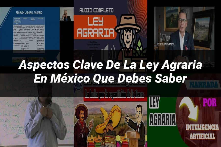 "Aspectos clave de la ley agraria en México que debes saber"