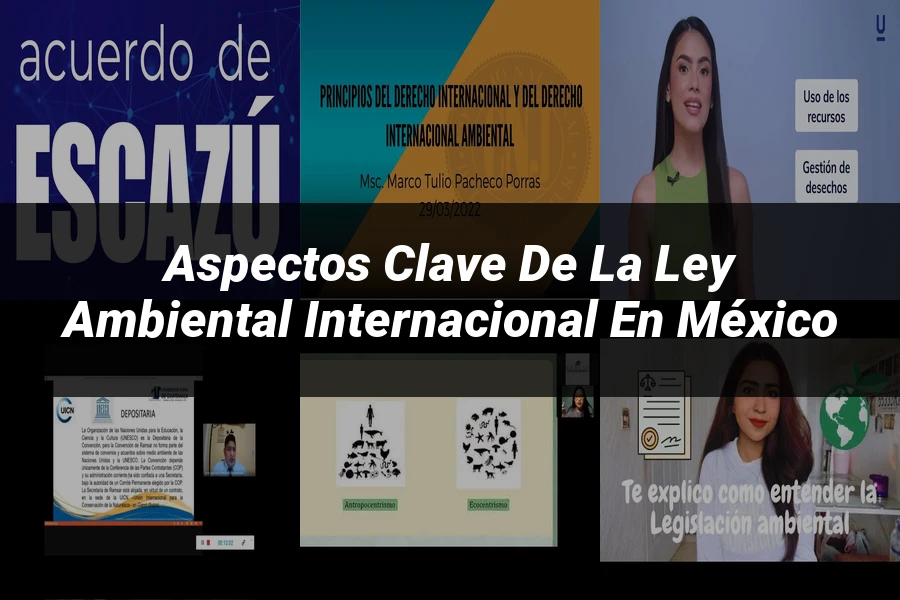 "Aspectos clave de la ley ambiental internacional en México"