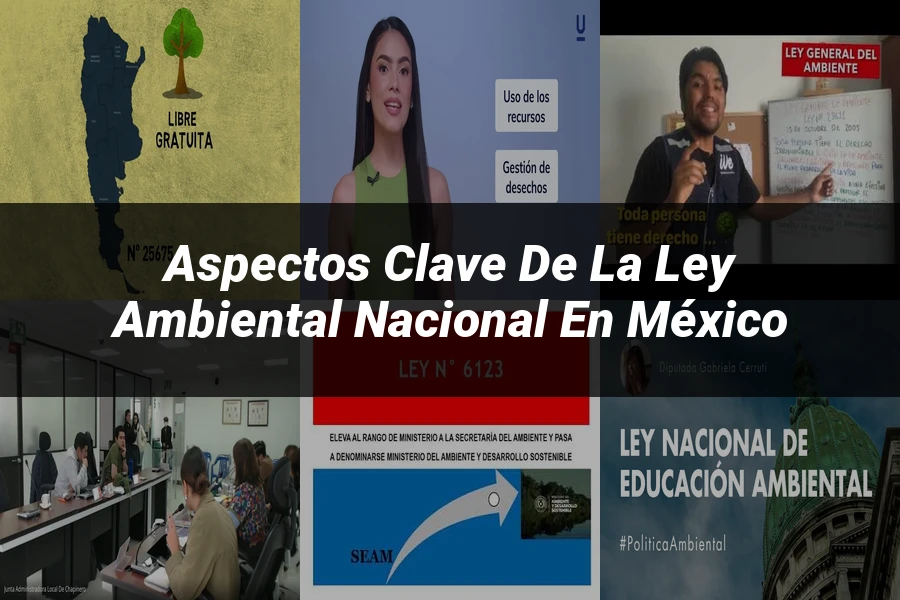 "Aspectos clave de la ley ambiental nacional en México"