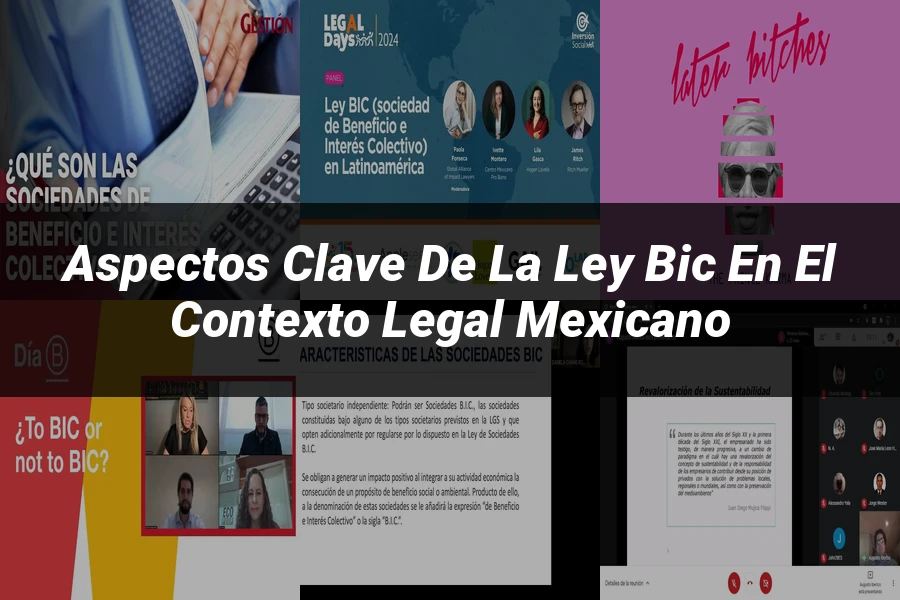 "Aspectos clave de la ley bic en el contexto legal mexicano"