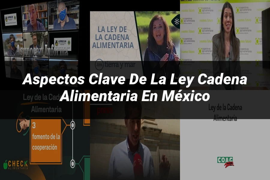 "Aspectos clave de la ley cadena alimentaria en México"