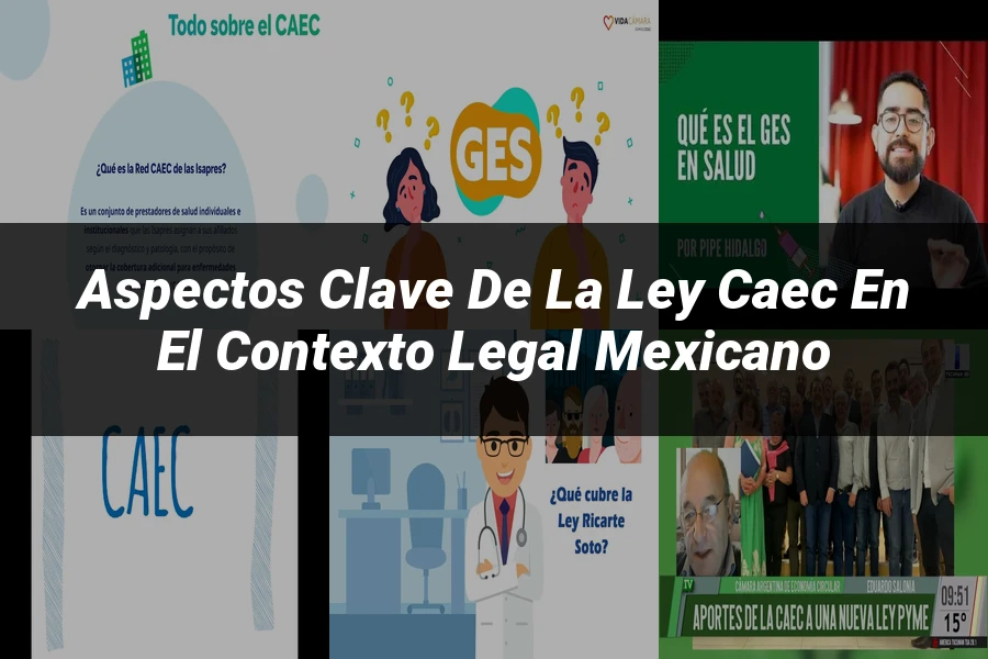 "Aspectos clave de la ley caec en el contexto legal mexicano"