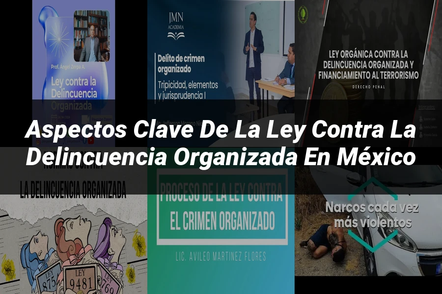 "Aspectos clave de la ley contra la delincuencia organizada en México"