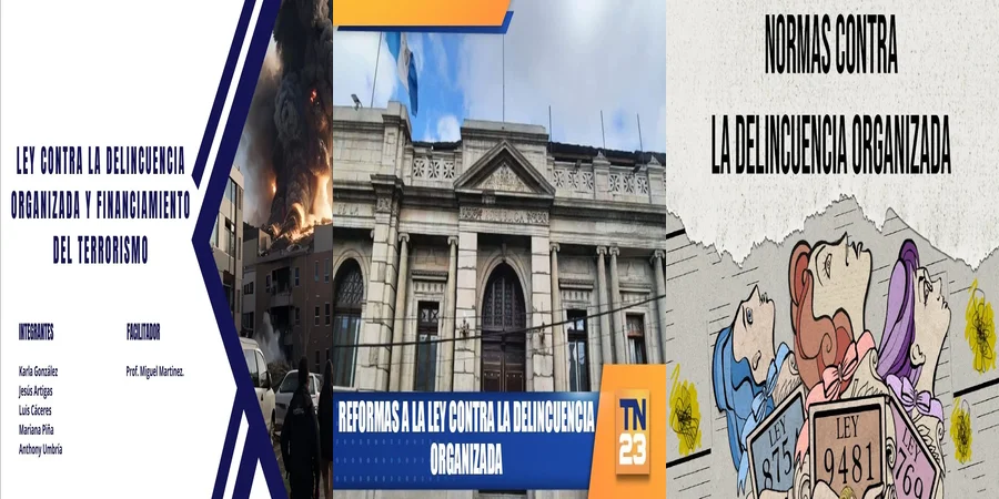 "Aspectos clave de la ley contra la delincuencia organizada en México"