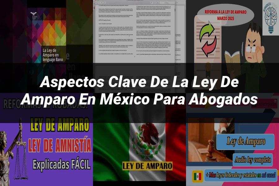 "Aspectos clave de la ley de amparo en México para abogados"