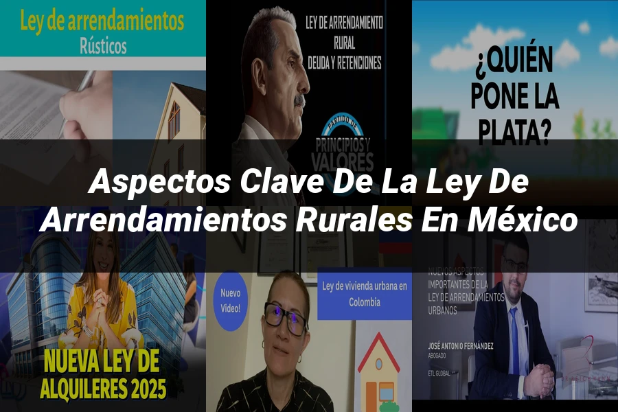 "Aspectos clave de la ley de arrendamientos rurales en México"