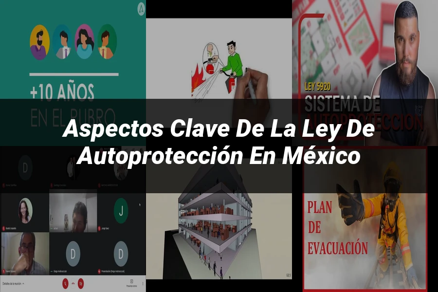 "Aspectos clave de la ley de autoprotección en México"