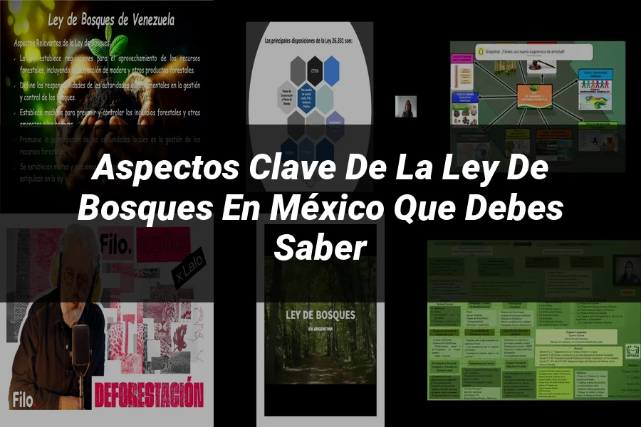 "Aspectos clave de la ley de bosques en México que debes saber"