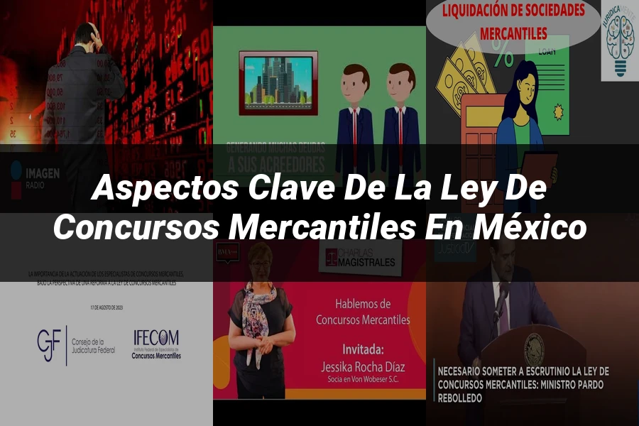 "Aspectos clave de la ley de concursos mercantiles en México"