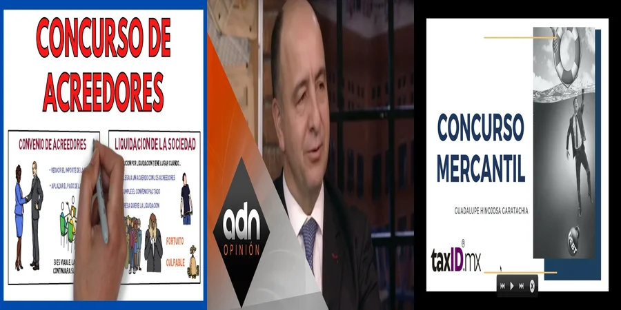 "Aspectos clave de la ley de concursos mercantiles en México"