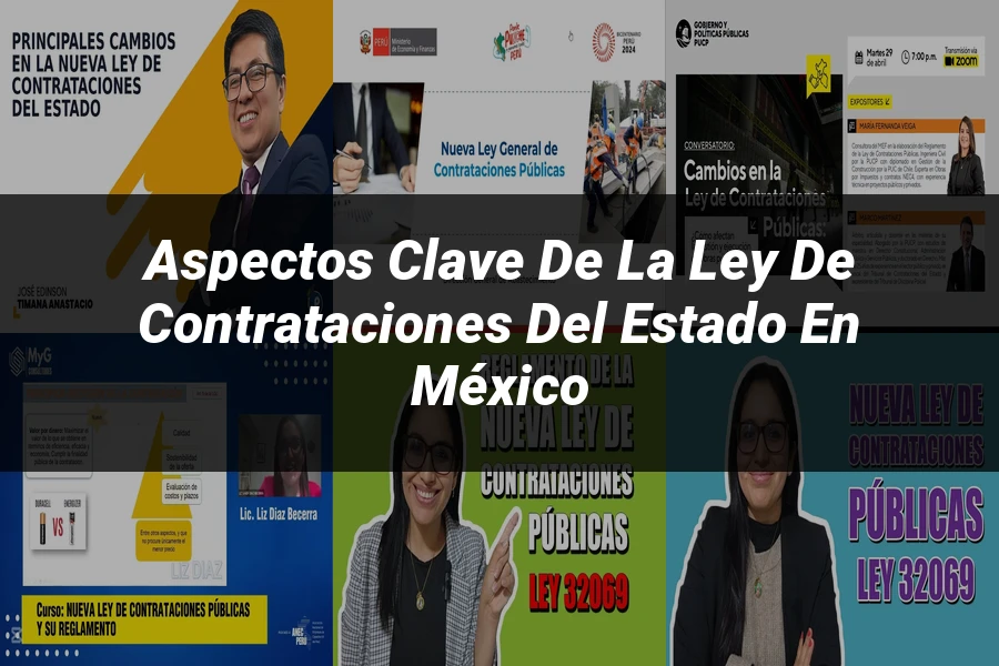 "Aspectos clave de la ley de contrataciones del estado en México"