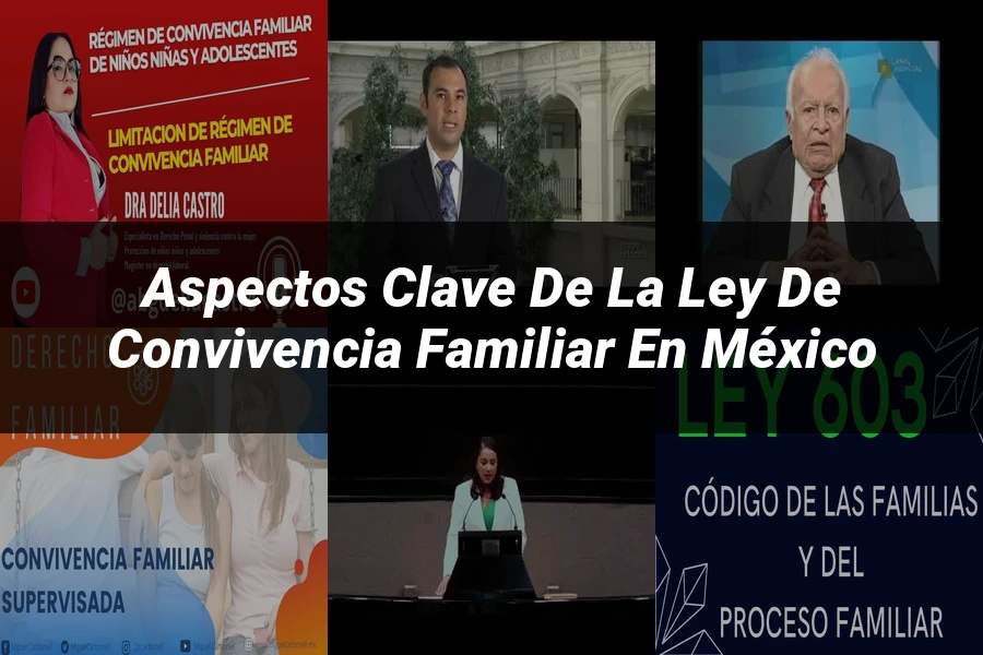 "Aspectos clave de la ley de convivencia familiar en México"