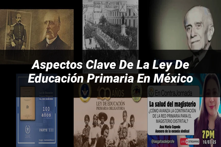 "Aspectos clave de la ley de educación primaria en México"