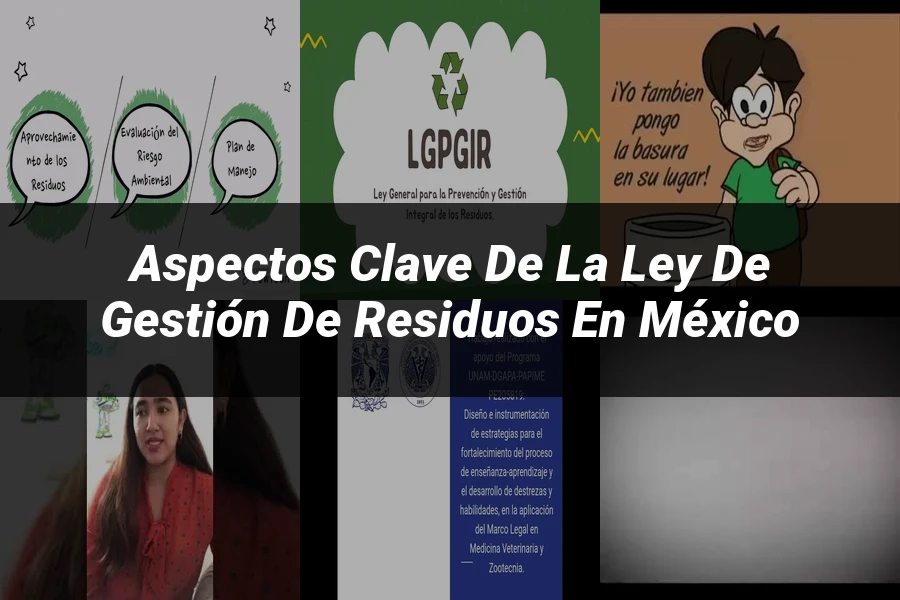 "Aspectos clave de la ley de gestión de residuos en México"