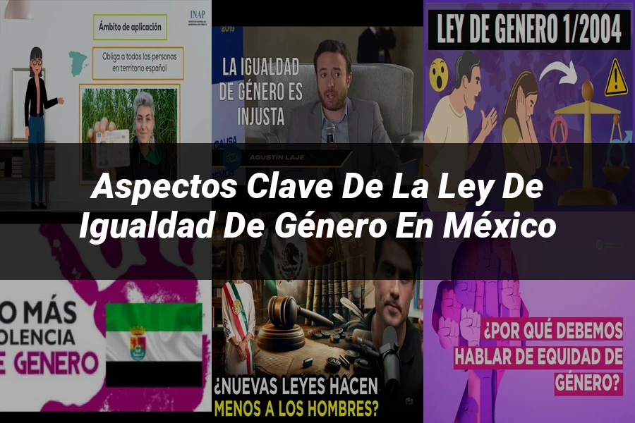 "Aspectos clave de la ley de igualdad de género en México"