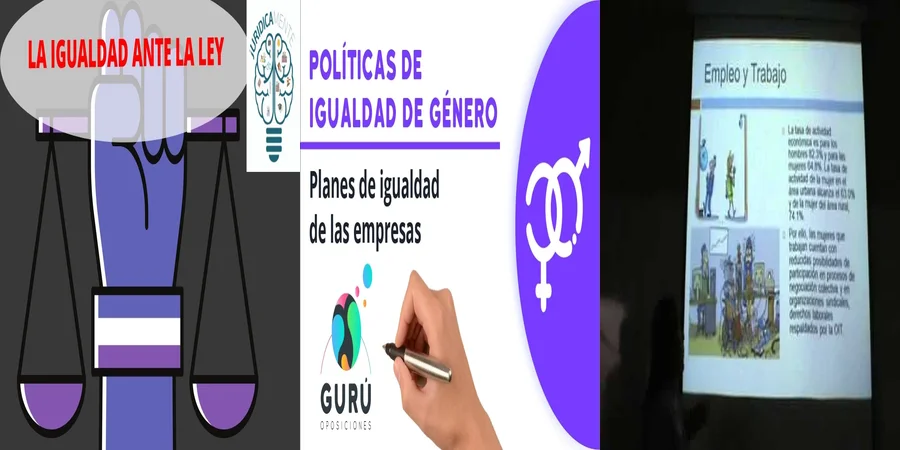 "Aspectos clave de la ley de igualdad de oportunidades en México"