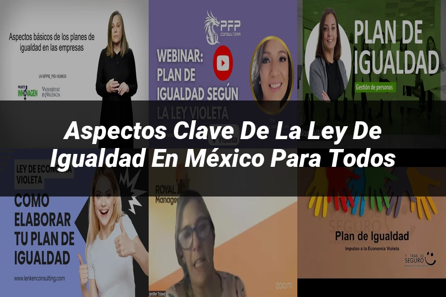 "Aspectos clave de la ley de igualdad en México para todos"