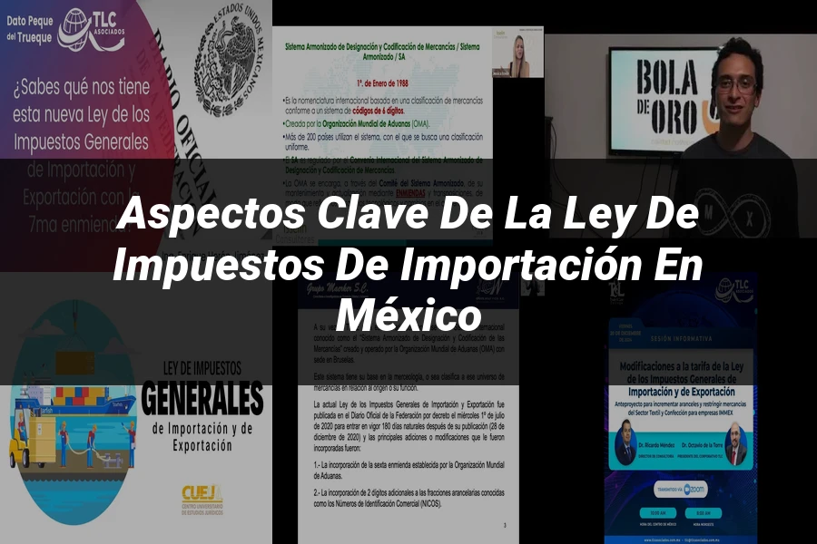 "Aspectos clave de la ley de impuestos de importación en México"