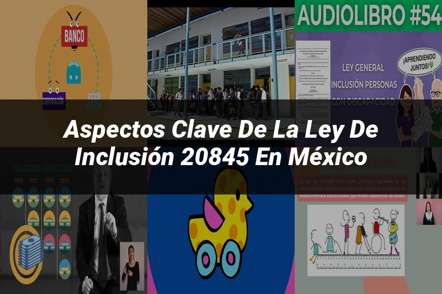 "Aspectos clave de la ley de inclusión 20845 en México"