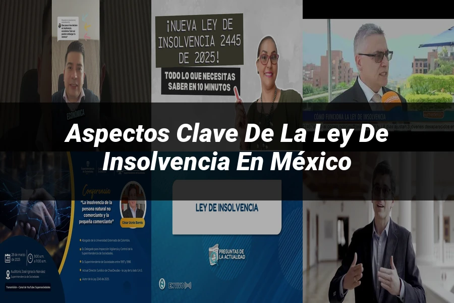 "Aspectos clave de la ley de insolvencia en México"
