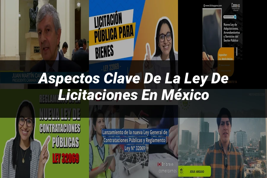 "Aspectos clave de la ley de licitaciones en México"