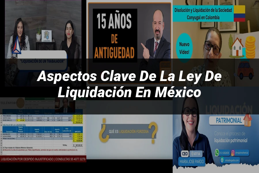 "Aspectos clave de la ley de liquidación en México"