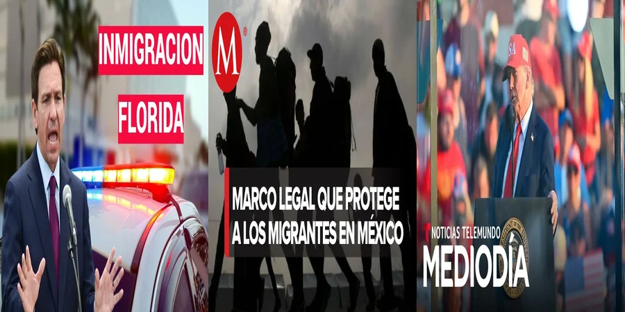"Aspectos clave de la ley de migración en México para abogados"