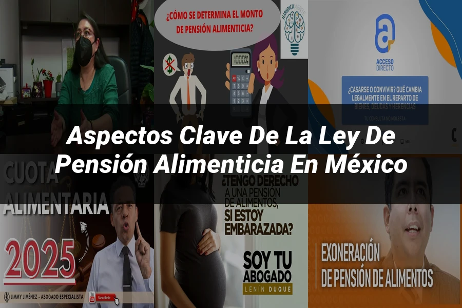"Aspectos clave de la ley de pensión alimenticia en México"