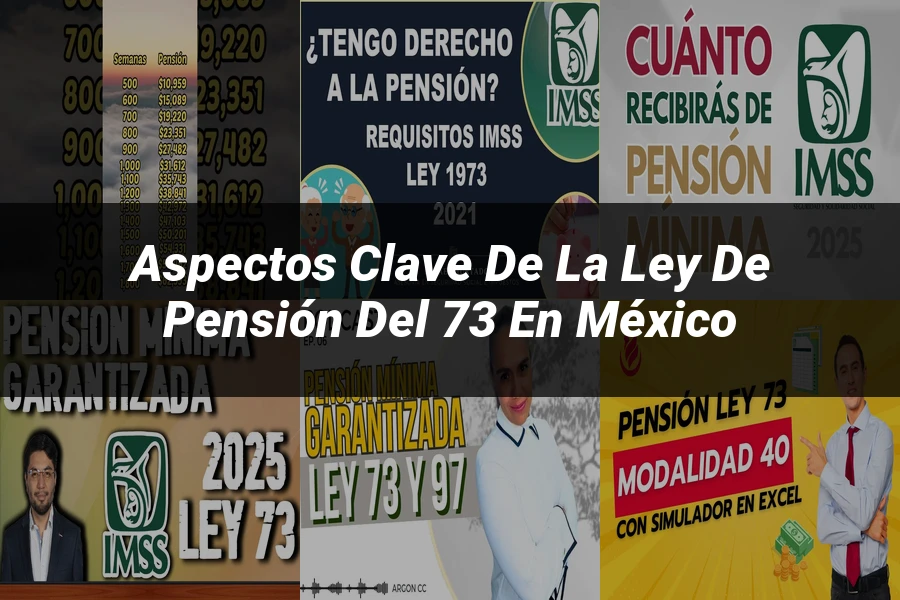 "Aspectos clave de la ley de pensión del 73 en México"