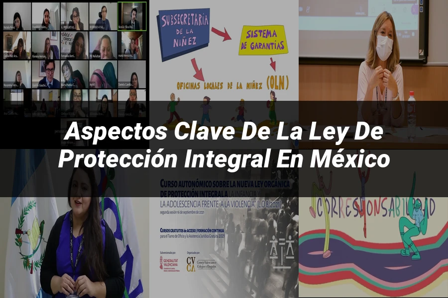 "Aspectos clave de la ley de protección integral en México"