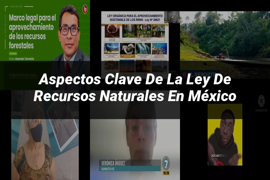 "Aspectos clave de la ley de recursos naturales en México"