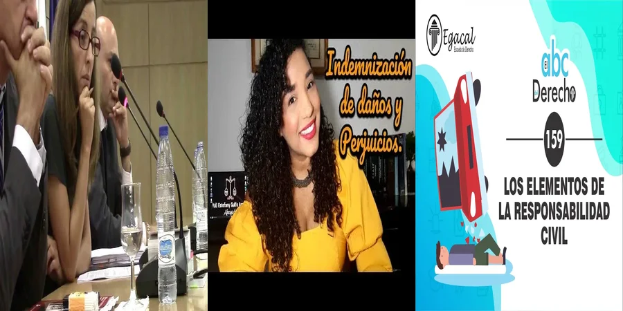 "Aspectos clave de la ley de responsabilidad civil en México"