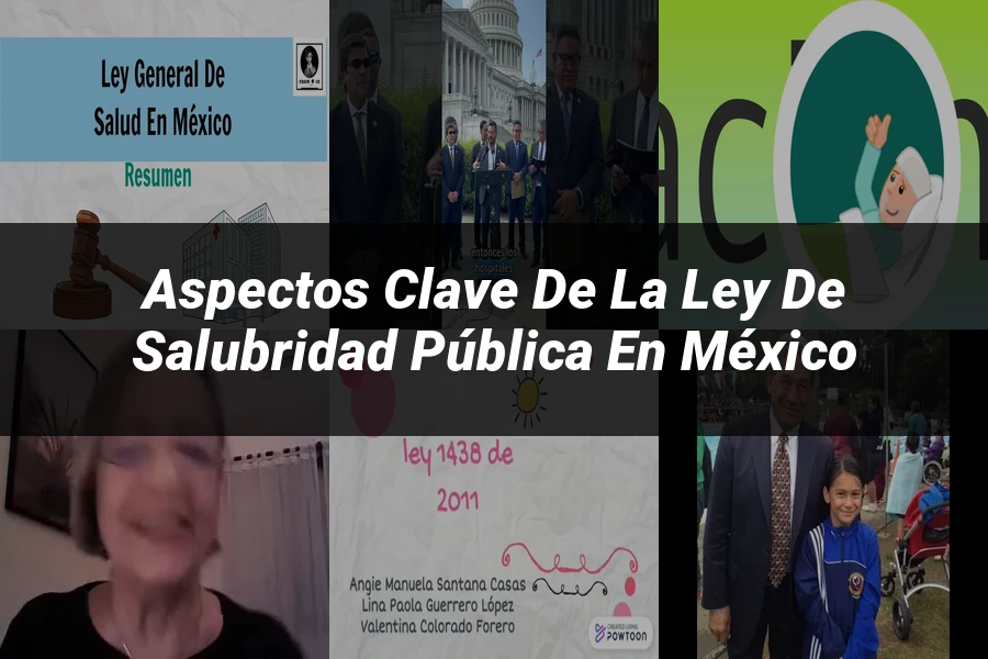 "Aspectos clave de la ley de salubridad pública en México"