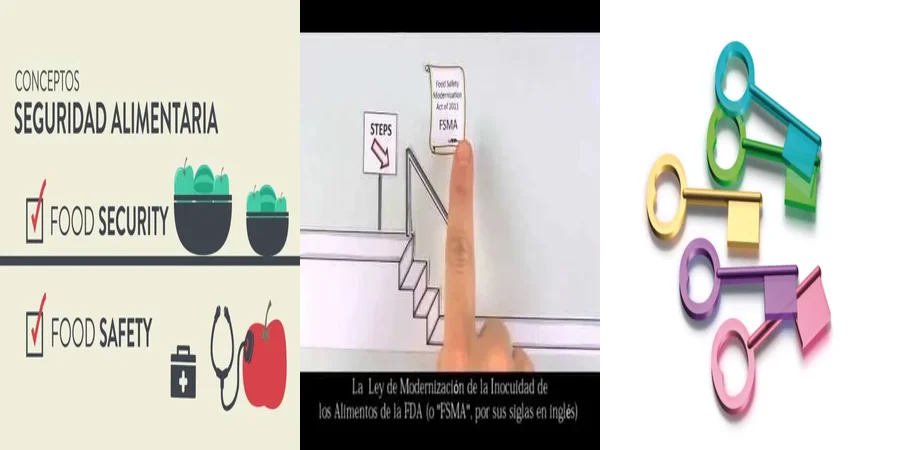 "Aspectos clave de la ley de sanidad alimentaria en México"