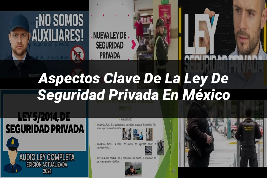 "Aspectos clave de la ley de seguridad privada en México"