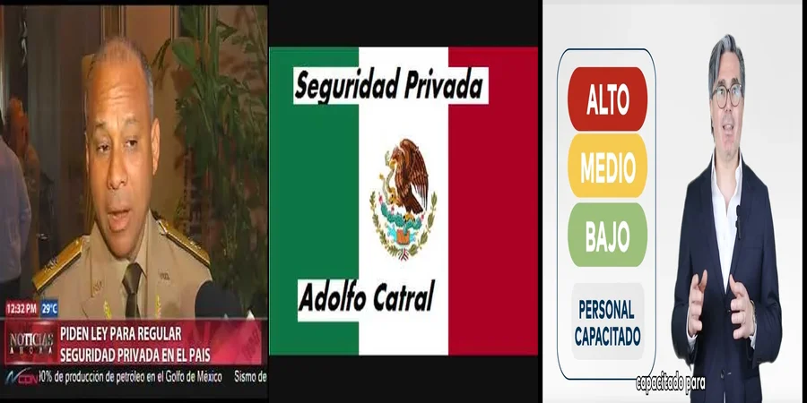 "Aspectos clave de la ley de seguridad privada en México"